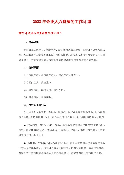 2023年企业人力资源的工作计划 
