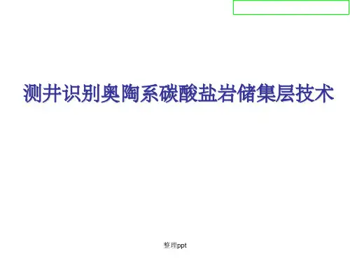 测井识别奥陶系碳酸盐岩储集层技术