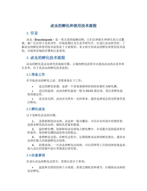 卤虫的孵化和使用技术流程