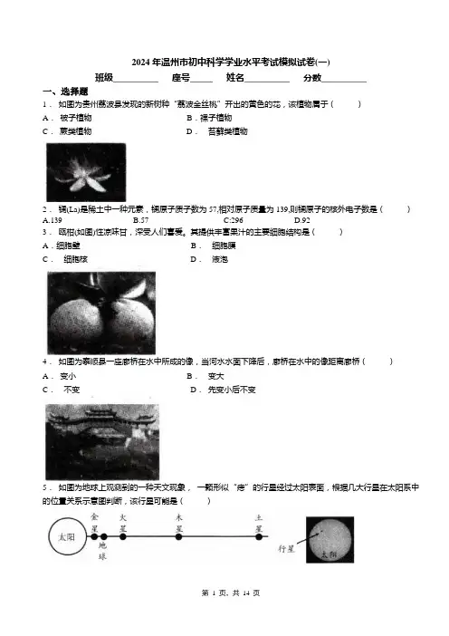 2024年温州市初中科学学业水平考试模拟试卷(一)(1)