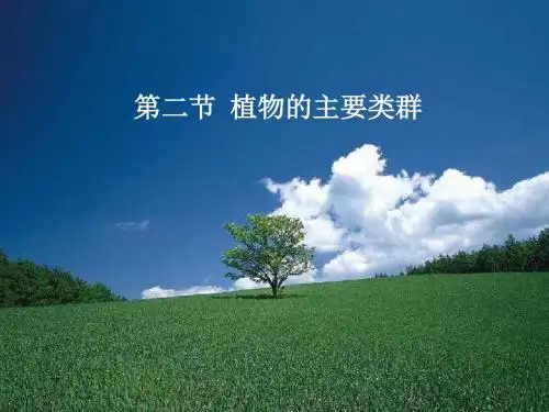 植物的主要类群 PPT课件2 北师大版
