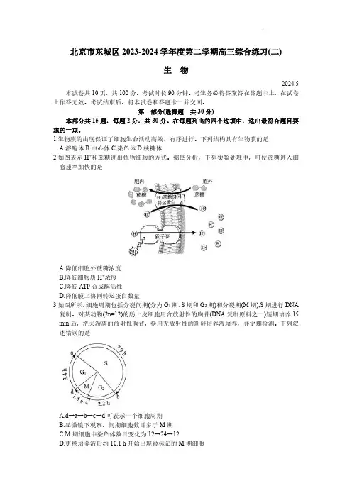 2024年北京市东城区高三下学期高考二模考试生物试卷含答案