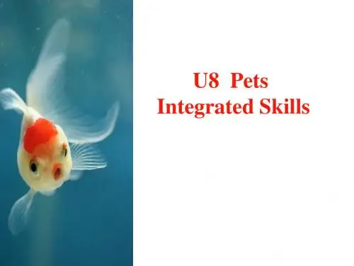 牛津译林版英语七下Unit8 Integrated skills   (共34张PPT)