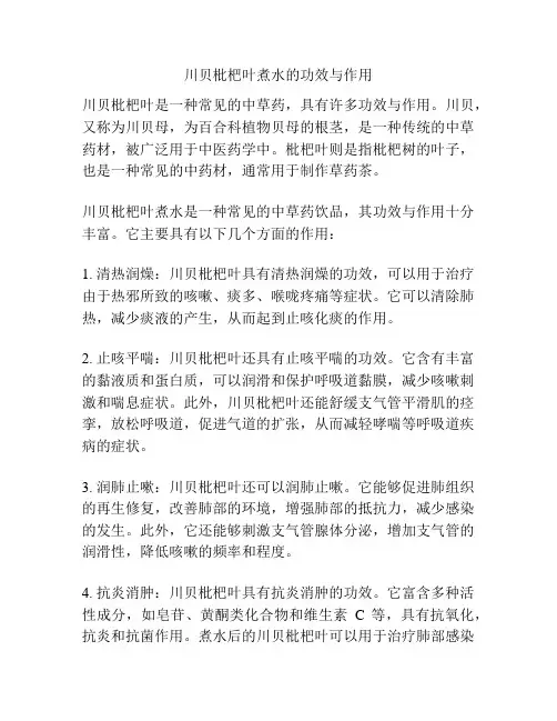 川贝枇杷叶煮水的功效与作用
