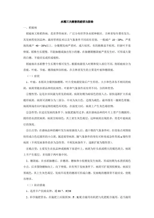 水稻三大病害的症状与防治