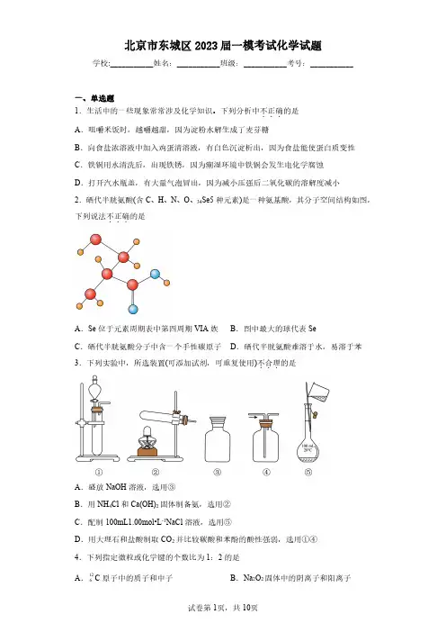 北京市东城区2023届一模考试化学试题(含答案解析)