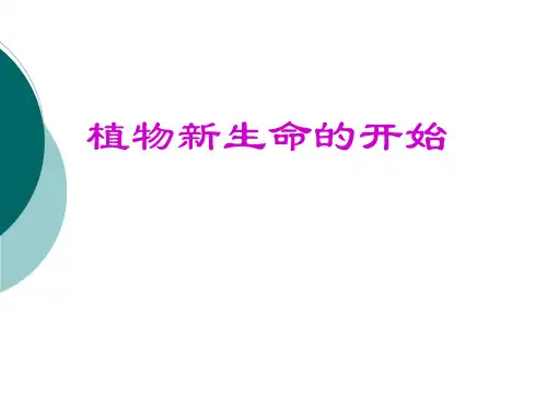 五年级下册科学_《植物的生长变化》2人教版(58张)标准课件