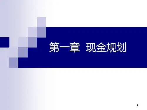 第一章-现金规划PPT课件