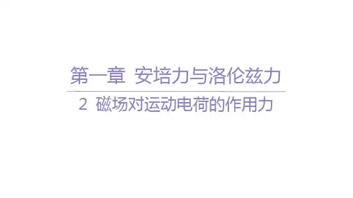 人教版高中物理选择性必修第二册精品课件 第一章 安培力与洛伦兹力 2 磁场对运动电荷的作用力
