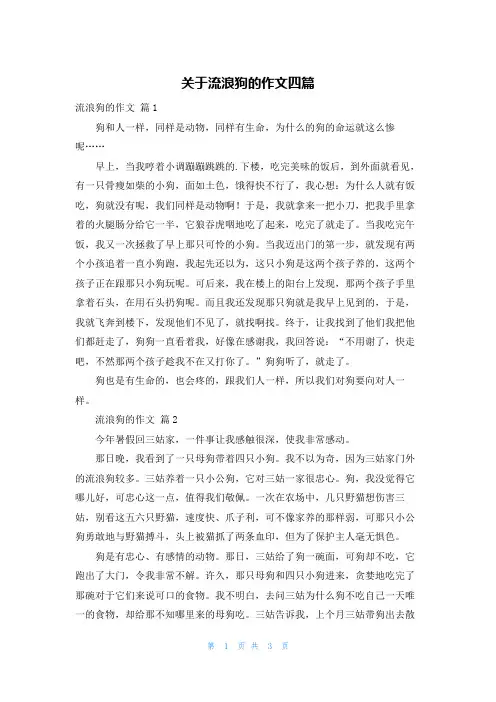 关于流浪狗的作文四篇