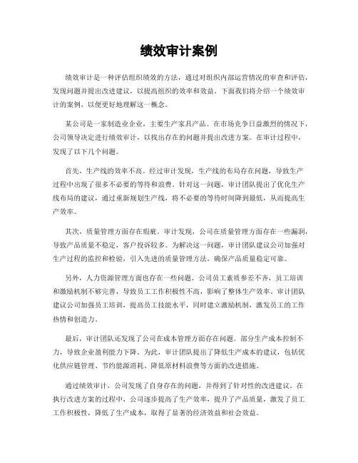 绩效审计案例