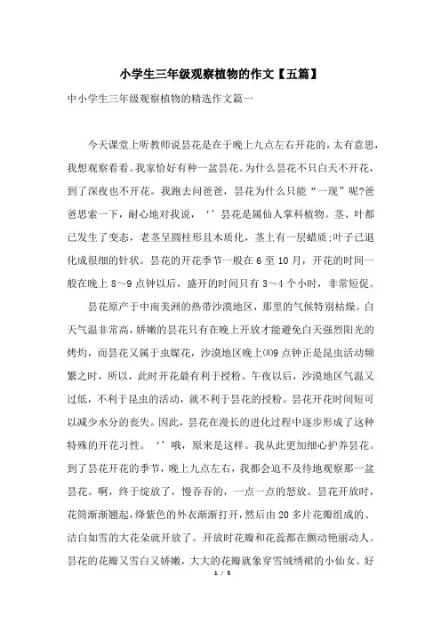 小学生三年级观察植物的作文【五篇】