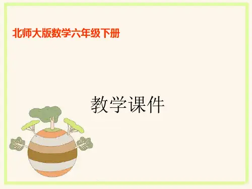 北师大版数学六年级下册课件-总复习(一)式与方程第1课时 式与方程