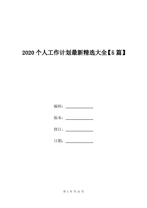 2020个人工作计划最新精选大全【5篇】.doc