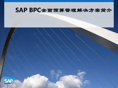 SAP-全面预算管理解决方案BPC