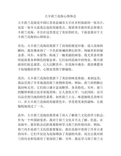 大丰荷兰花海心得体会