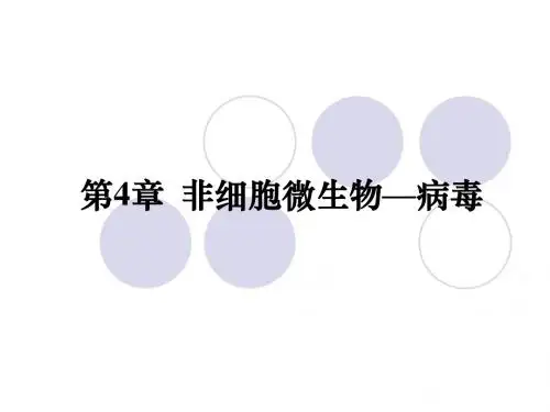 病毒