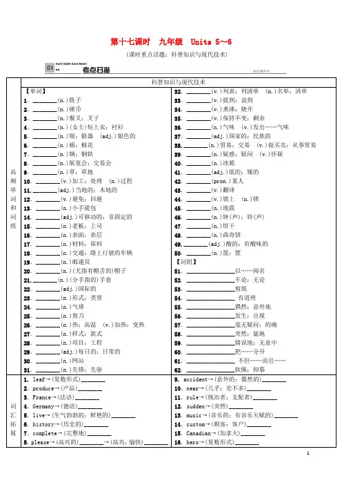 河北省中考英语总复习 第十七课时 九年级 Units 56试题 人教新目标版