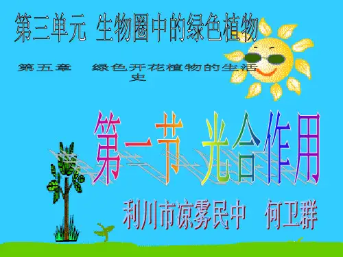 中考专题绿色开花植物的生活方式