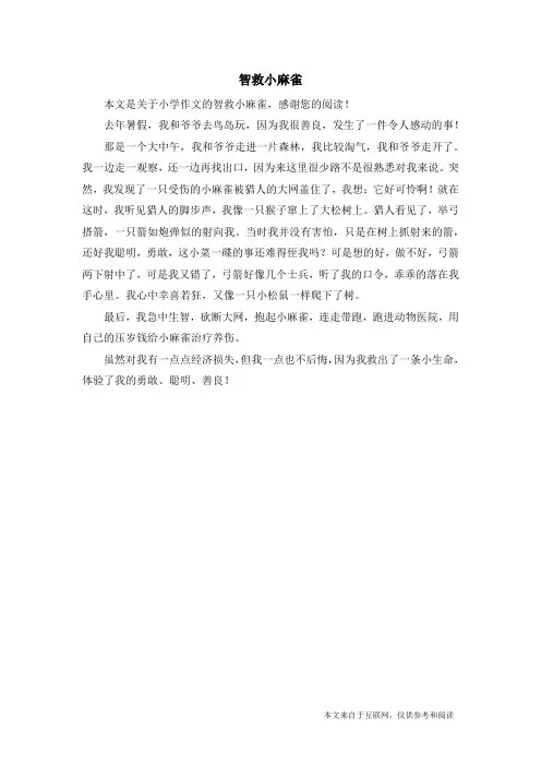 智救小麻雀_小学作文