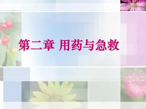 董喆用药和急救