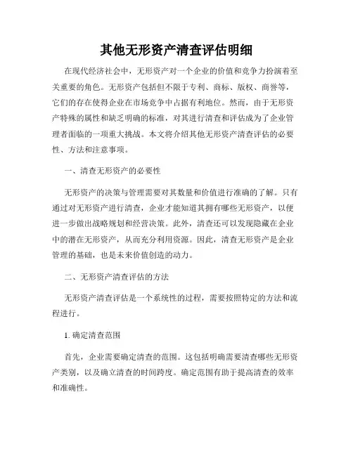 其他无形资产清查评估明细