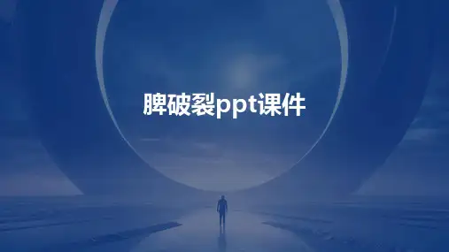 脾破裂ppt课件