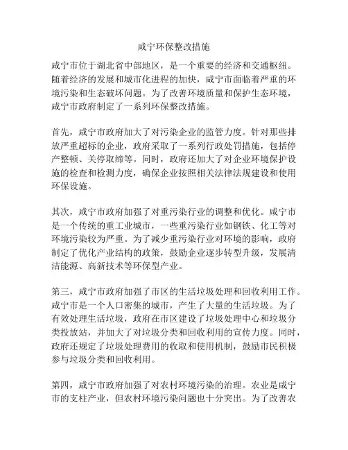 咸宁环保整改措施