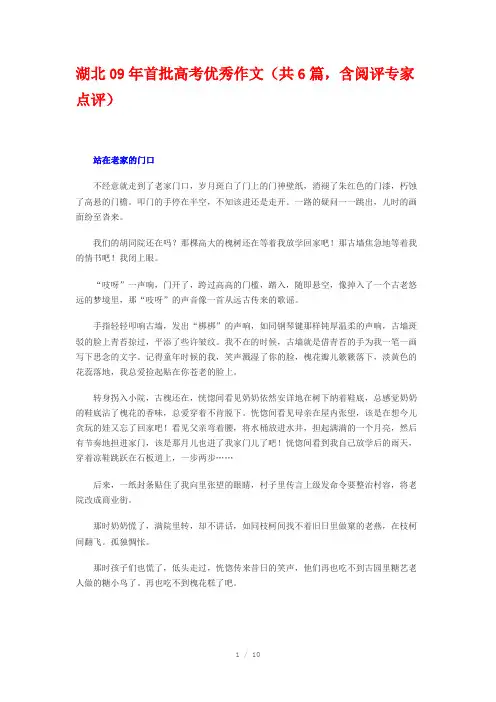 湖北09年首批高考优秀作文(共6篇)