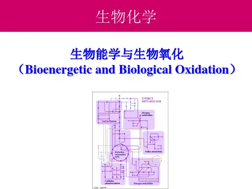 生物氧化(生物化学)
