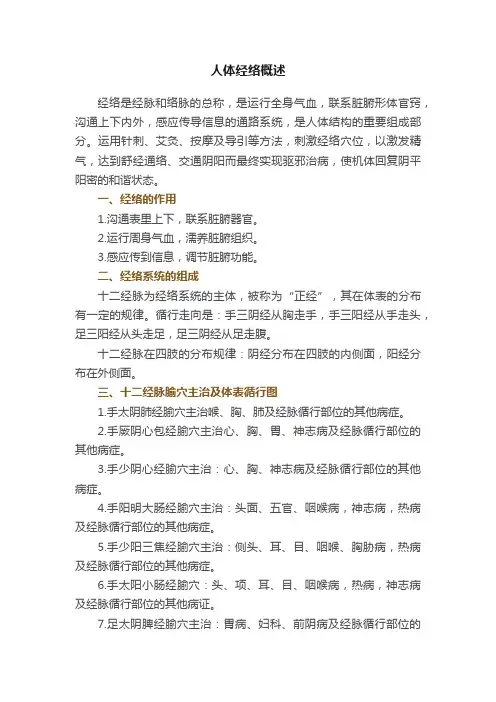 人体经络概述