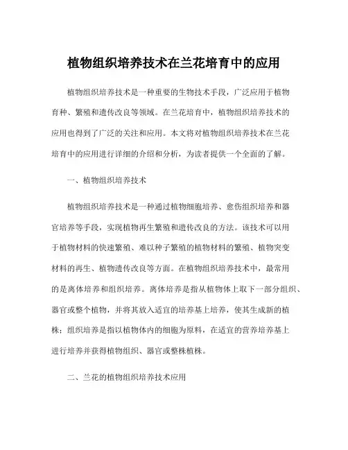 植物组织培养技术在兰花培育中的应用