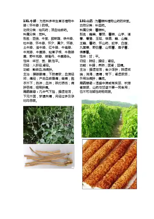 175种常用中药材大全