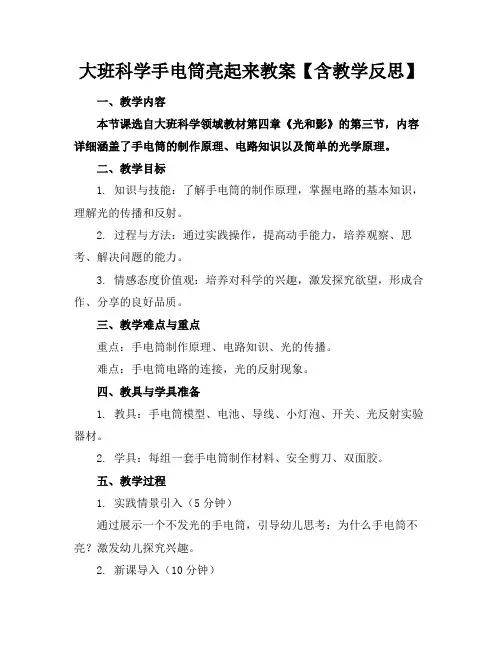 大班科学手电筒亮起来教案【含教学反思】
