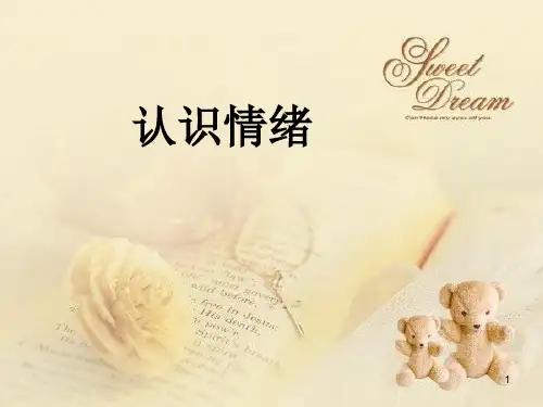认识情绪PPT课件