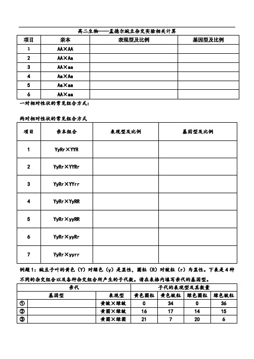 孟德尔遗传规律的计算-
