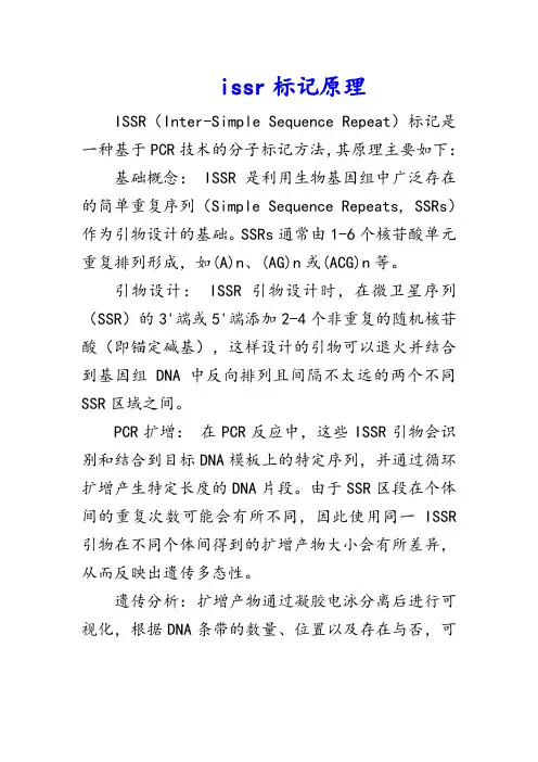 issr标记原理