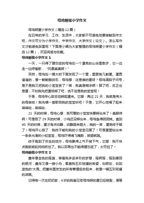 母鸡孵蛋小学作文（精选12篇）