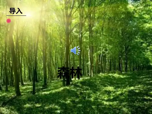 森林 与小鸟 课 件