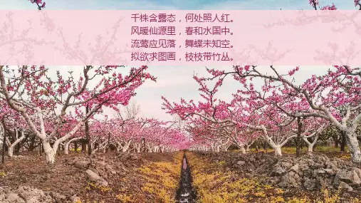 2019绿城·安吉桃花源桃花节活动策划方案-43P