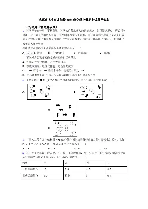 成都市七中育才学校2021年初三化学上册期中试题及答案