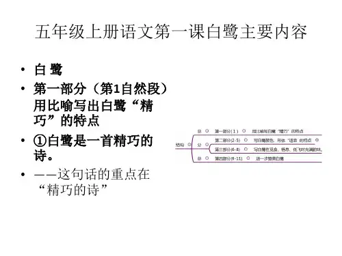 五年级上册语文第一课白鹭主要内容