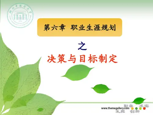 第六章 职业生涯规划决策与目标制定