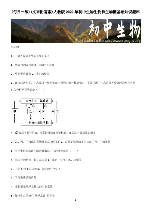 (文末附答案)人教版2022年初中生物生物和生物圈基础知识题库