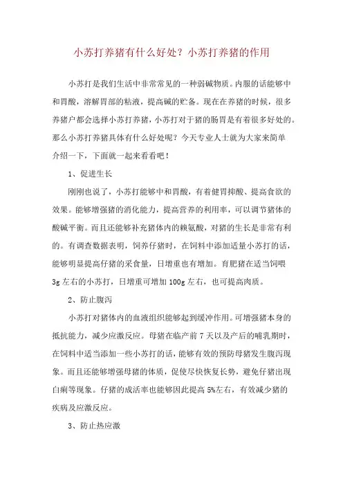 小苏打养猪有什么好处？小苏打养猪的作用