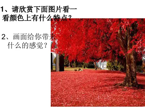 人教版小学美术五年级色彩的和谐精品PPT课件