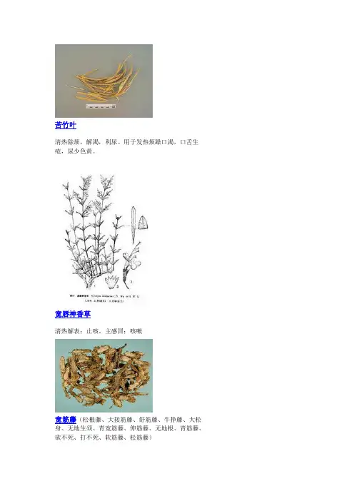 3000种中医药材第1201-1300种