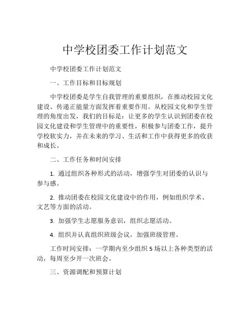 中学校团委工作计划范文
