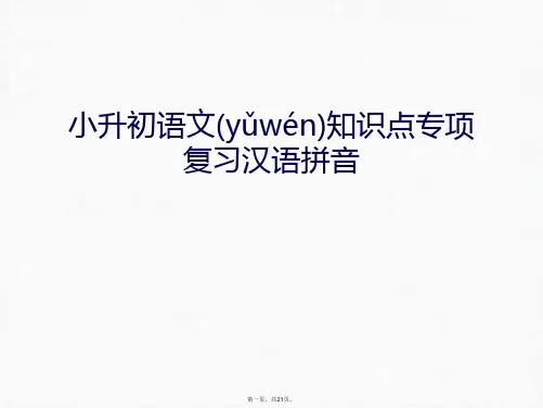 最新小升初语文知识点专项复习汉语拼音幻灯片课件精品课件