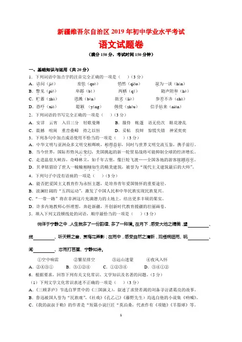 2019年新疆维吾尔自治区中考语文试题及参考答案(word解析版)